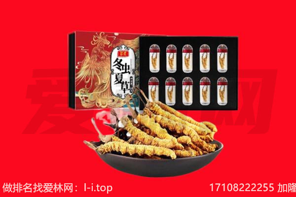 天津武清区回收虫草.jpg